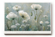 Paul Sinus Wandbild Gentle Blossoms of Inner Peace White Blossoms Rising with Hopeful Morning Light