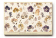 Paul Sinus Wandbild 120x80cm gepresste Blumen botanische Illustration vintage Naturkunst beige braun florales Muster moderne Wanddekoration fuer Wohnzimmer