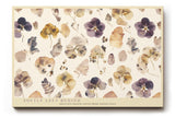 Paul Sinus Wandbild 120x80cm gepresste Blumen botanische Illustration vintage Naturkunst beige braun florales Muster moderne Wanddekoration fuer Wohnzimmer