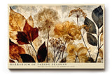 Paul Sinus Wandbild 120x80cm Gepresste Blumen und Blaetter Botanische Collage Natur Kunstmotiv Vintage Pflanzen Illustration