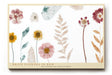 Paul Sinus Wandbild 120x80cm getrocknete Blumen botanische Illustration moderne Naturkunst Pastellfarben Kunstdruck stilvolle Wanddekoration fuer Wohnzimmer Schlafzimmer