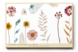 Paul Sinus Wandbild 120x80cm getrocknete Blumen botanische Illustration moderne Naturkunst Pastellfarben Kunstdruck stilvolle Wanddekoration fuer Wohnzimmer Schlafzimmer