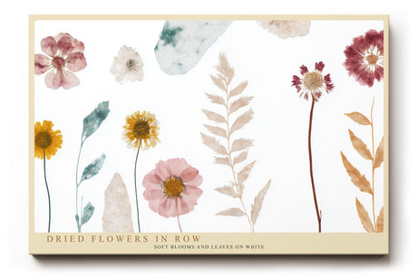 Paul Sinus Wandbild 120x80cm getrocknete Blumen botanische Illustration moderne Naturkunst Pastellfarben Kunstdruck stilvolle Wanddekoration fuer Wohnzimmer Schlafzimmer