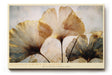 Paul Sinus Wandbild 120x80cm Ginkgo Blaetter modern gold beige botanische Kunst elegantes Naturmotiv grosses Kunstbild stilvolle Wanddekoration fuer Wohnzimmer Büro