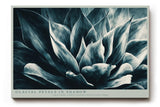 Paul Sinus Wandbild 120x80cm Glacial Petals in Shadow Abstrakte Bluetenstruktur in Blau Moderner Natur Kunststil fuer Wohnzimmer Schlafzimmer und Büro