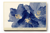 Paul Sinus Wandbild Golden Light in Blue Shadows florales Motiv mit blauen Blüten und goldenen Akzenten