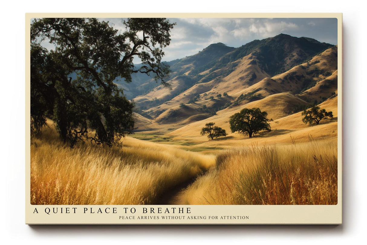 Paul Sinus Wandbild 120x80cm goldene Landschaft Natur Fotokunst moderne Berglandschaft Kunstdruck grosses Wandbild 120x80cm ruhige Wanddekoration fuer Wohnzimmer Büro
