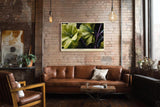Paul Sinus Wandbild 120x80cm Green Blooms in Shadow grüne Blumen Makro Fotokunst mit Wassertropfen elegante Natur Poster für Wohnzimmer Schlafzimmer