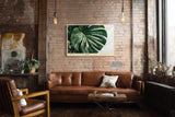 Paul Sinus Wandbild 120x80cm Green in Clean Light tropisches Monstera Blatt minimalistische Pflanzen Fotokunst modernes Natur Poster für Wohnzimmer Büro
