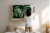 Paul Sinus Wandbild 120x80cm Green in Clean Light tropisches Monstera Blatt minimalistische Pflanzen Fotokunst modernes Natur Poster für Wohnzimmer Büro