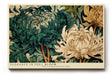 Paul Sinus Wandbild 120x80cm Grosse Chrysanthemen Blueten Botanische Kunst in Gruen und Creme Natur Wanddekoration