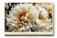 Paul Sinus Wandbild 120x80cm grosse weisse Blueten moderne Blumenmalerei creme beige florale Kunst grosses Kunstbild elegante Wanddekoration fuer Wohnzimmer Büro