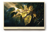 Paul Sinus Wandbild 120x80cm gruene Blaetter im Sonnenlicht botanische Natur Fotokunst warmes Licht Pflanzenmotiv moderne Wanddekoration fuer Wohnzimmer Büro