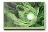 Paul Sinus Wandbild 120x80cm Gruene Bluete Makro botanische Kunst Natur Spiralstruktur Wanddekoration Wohnzimmer Schlafzimmer