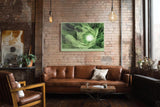 Paul Sinus Wandbild 120x80cm Gruene Bluete Makro botanische Kunst Natur Spiralstruktur Wanddekoration Wohnzimmer Schlafzimmer