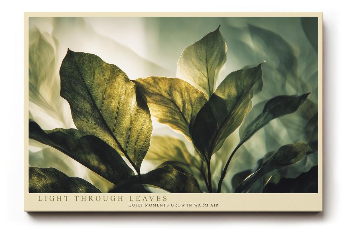 Paul Sinus Wandbild 120x80cm grüne Blätter im Sonnenlicht botanische Natur Fotokunst ruhige Pflanzen Atmosphäre modernes Naturbild für Wohnzimmer Büro