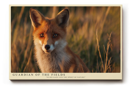 Paul Sinus Wandbild Guardian of the Fields – Fuchs im goldenen Abendlicht symbolisiert Wachsamkeit, Naturverbundenheit und stille Schönheit