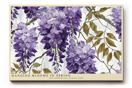 Paul Sinus Wandbild 120x80cm Hängende Frühlingsblüten – Elegantes Blumenmotiv in Violett mit botanischer Illustration für stilvolle Wohnräume