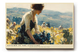 Paul Sinus Wandbild 120x80cm Herbst im Weinberg – Impressionistische Landschaft mit Weinlese Szene für stilvolle Wohnräume
