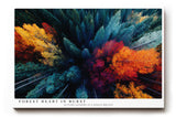 Paul Sinus Wandbild 120x80cm Herbstwald Luftaufnahme Natur Landschaft Kunstmotiv Bunte Baumkronen von oben