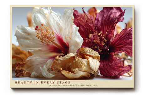 Paul Sinus Wandbild 120x80cm Hibiskus Blumen Stillleben Fotokunst rot creme natur Kunstdruck elegantes Blumenmotiv moderne Wanddekoration für Wohnzimmer