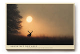 Paul Sinus Wandbild 120x80cm Hirsch Silhouette Sonnenuntergang Natur Fotokunst warmes Abendlicht Landschaft Bild ruhige