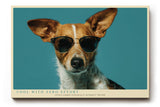 Paul Sinus Wandbild 120x80cm Hund mit Sonnenbrille modernes Tierportraet lustige Tierkunst stilvolle Wanddekoration fuer Wohnzimmer Büro