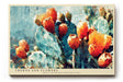 Paul Sinus Wandbild 120x80cm Kaktus Fruechte abstrakte Pflanzenmalerei warme orange gruene Farben moderne Naturkunst Wanddekoration fuer Wohnzimmer Büro