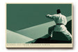 Paul Sinus Wandbild 120x80cm Karateka in Kampfhaltung moderne Kampfkunst Illustration