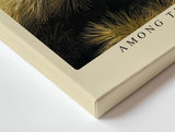 Paul Sinus Wandbild 120x80cm Kiefernzweige Naturfotografie goldene Nadeln botanische Naturkunst moderne Wanddekoration fuer Wohnzimmer Büro
