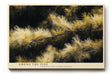 Paul Sinus Wandbild 120x80cm Kiefernzweige Naturfotografie goldene Nadeln botanische Naturkunst moderne Wanddekoration fuer Wohnzimmer Büro