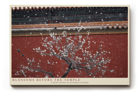 Paul Sinus Wandbild 120x80cm Kirschblueten vor Tempel asiatische Architektur Fruehlingsmotiv ruhige Naturfotografie stilvolle Wanddekoration fuer Wohnzimmer Büro