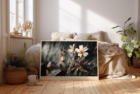 Paul Sinus Wandbild 120x80cm kleine Blumen auf Felsen Naturfotografie zarte weisse Blueten starkes Naturmotiv stilvolle Wanddekoration fuer Wohnzimmer Büro