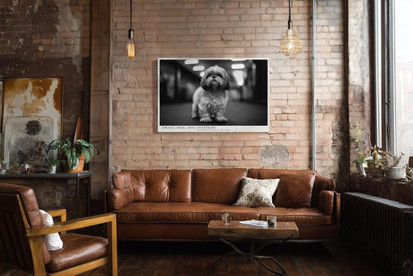 Paul Sinus Wandbild 120x80cm kleiner Hund Schwarz Weiss Fotografie niedliches Tierportrait modernes Hunde Kunstbild für Wohnzimmer Flur Büro