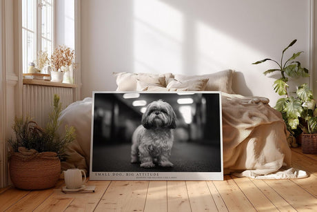 Paul Sinus Wandbild 120x80cm kleiner Hund Schwarz Weiss Fotografie niedliches Tierportrait modernes Hunde Kunstbild für Wohnzimmer Flur Büro