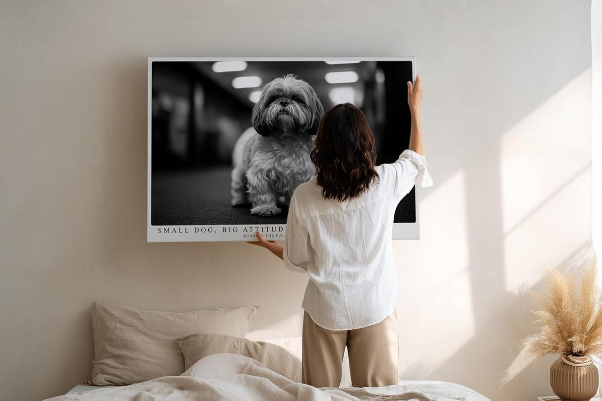 Paul Sinus Wandbild 120x80cm kleiner Hund Schwarz Weiss Fotografie niedliches Tierportrait modernes Hunde Kunstbild für Wohnzimmer Flur Büro