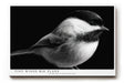 Paul Sinus Wandbild 120x80cm kleiner Vogel Fotokunst schwarz weiss minimalistisch ruhige Natur Tierporträt elegantes Kunstbild moderne