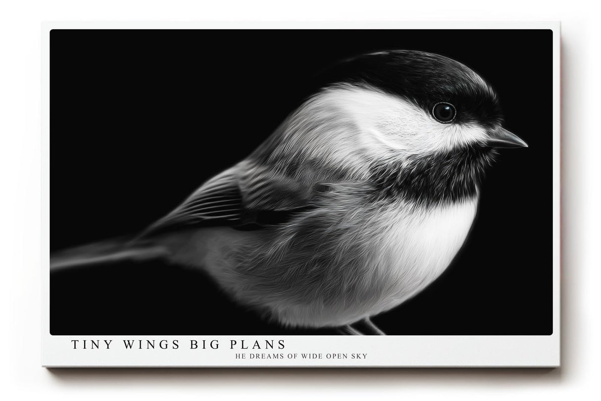 Paul Sinus Wandbild 120x80cm kleiner Vogel Fotokunst schwarz weiss minimalistisch ruhige Natur Tierporträt elegantes Kunstbild moderne