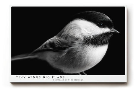 Paul Sinus Wandbild 120x80cm kleiner Vogel Fotokunst schwarz weiss minimalistisch ruhige Natur Tierporträt elegantes Kunstbild moderne