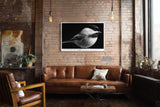 Paul Sinus Wandbild 120x80cm kleiner Vogel Fotokunst schwarz weiss minimalistisch ruhige Natur Tierporträt elegantes Kunstbild moderne