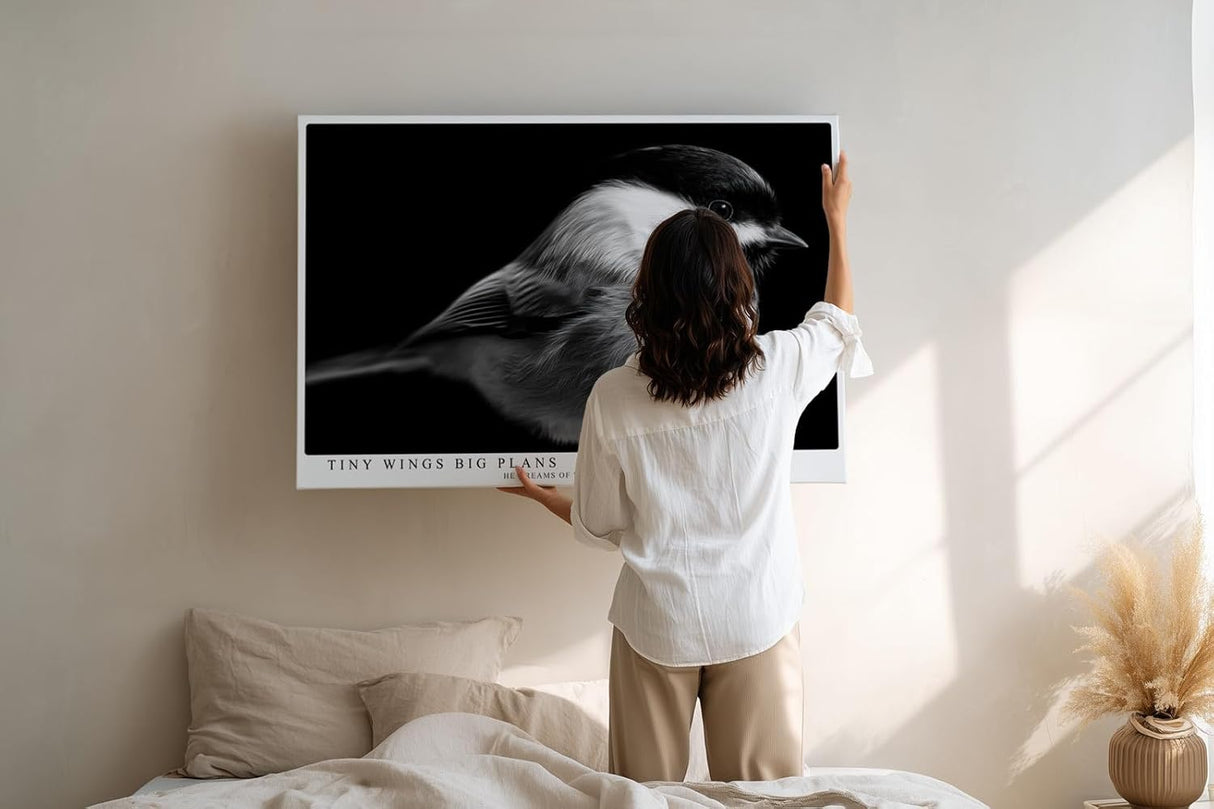 Paul Sinus Wandbild 120x80cm kleiner Vogel Fotokunst schwarz weiss minimalistisch ruhige Natur Tierporträt elegantes Kunstbild moderne