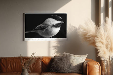 Paul Sinus Wandbild 120x80cm kleiner Vogel Fotokunst schwarz weiss minimalistisch ruhige Natur Tierporträt elegantes Kunstbild moderne