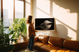 Paul Sinus Wandbild 120x80cm kleiner Vogel Fotokunst schwarz weiss minimalistisch ruhige Natur Tierporträt elegantes Kunstbild moderne