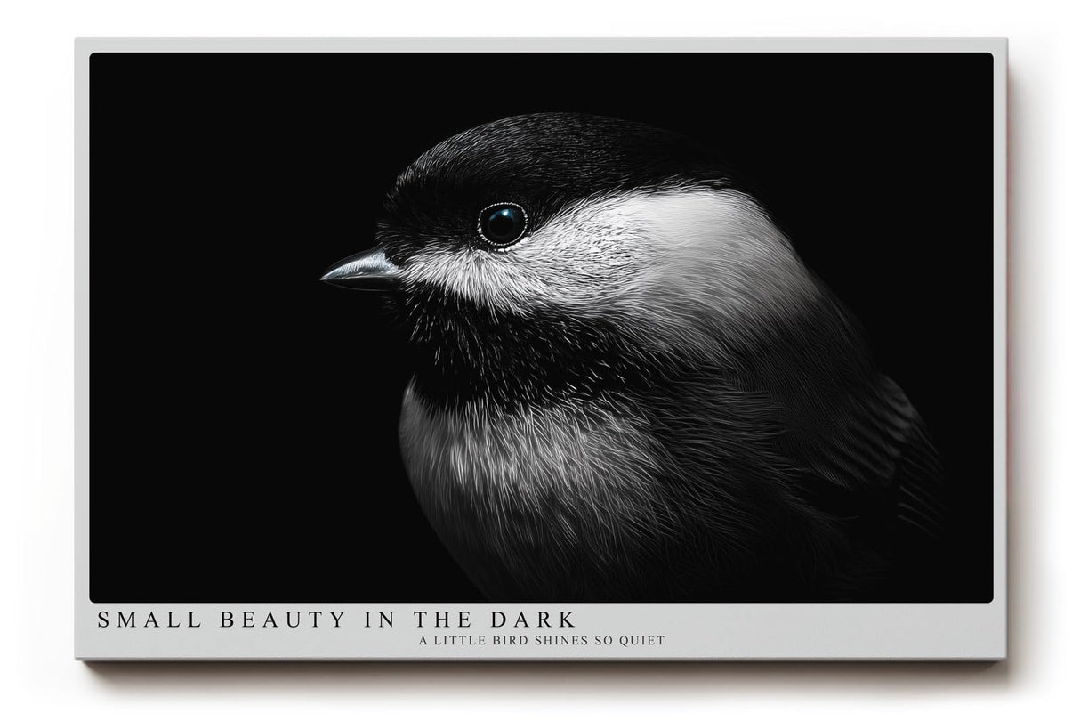 Paul Sinus Wandbild 120x80cm kleiner Vogel im Dunkel Fotokunst schwarz weiss minimalistische Natur Tierportrait elegantes Kunstbild moderne