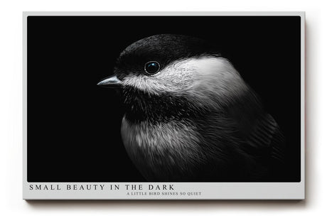 Paul Sinus Wandbild 120x80cm kleiner Vogel im Dunkel Fotokunst schwarz weiss minimalistische Natur Tierportrait elegantes Kunstbild moderne