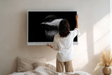 Paul Sinus Wandbild 120x80cm kleiner Vogel im Dunkel Fotokunst schwarz weiss minimalistische Natur Tierportrait elegantes Kunstbild moderne