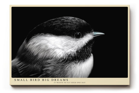 Paul Sinus Wandbild 120x80cm kleiner Vogel Nahaufnahme Fotokunst schwarz weiss minimalistische Tierfotografie ruhiges Naturmotiv stilvolle