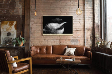 Paul Sinus Wandbild 120x80cm kleiner Vogel Nahaufnahme Fotokunst schwarz weiss minimalistische Tierfotografie ruhiges Naturmotiv stilvolle
