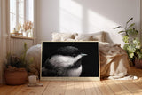 Paul Sinus Wandbild 120x80cm kleiner Vogel Nahaufnahme Fotokunst schwarz weiss minimalistische Tierfotografie ruhiges Naturmotiv stilvolle