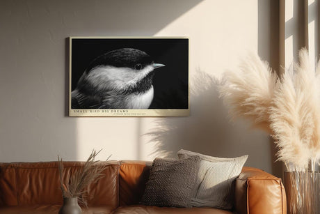 Paul Sinus Wandbild 120x80cm kleiner Vogel Nahaufnahme Fotokunst schwarz weiss minimalistische Tierfotografie ruhiges Naturmotiv stilvolle